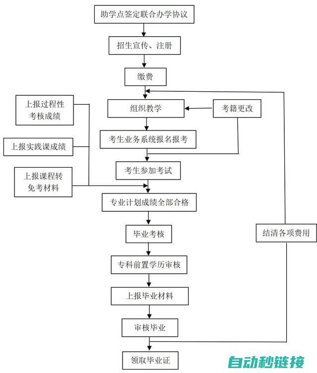 考试流程与技巧解析 (考试流程与技巧视频)