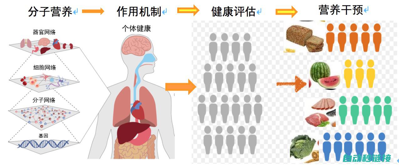 功能特性及优势概览 (功能特性及优点是什么)