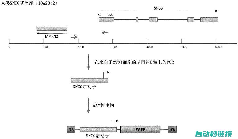 子程序创建全过程解析 (子程序库建立命令是什么)