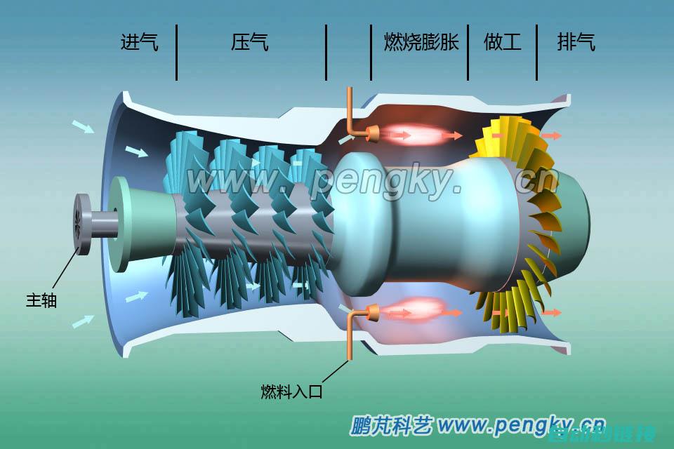 揭秘其运作机制与特点 (揭秘其运作机制的例子)